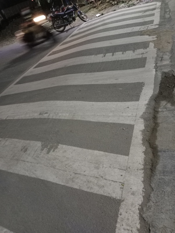 Zebra Crossing dataset sample